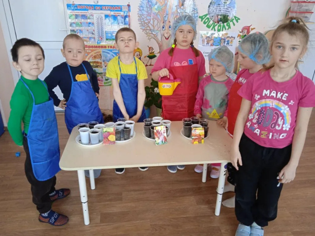 А у нас посадка семян цветов!